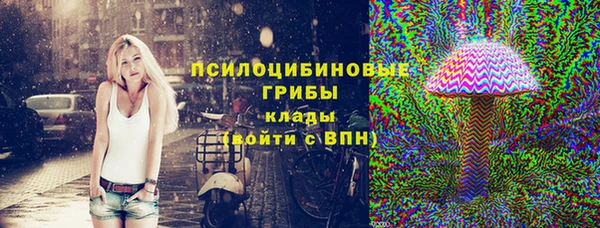 круглые Алзамай